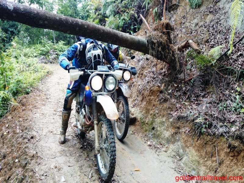 Song Thao 2 Days, Home Staying By Bike: GTT201